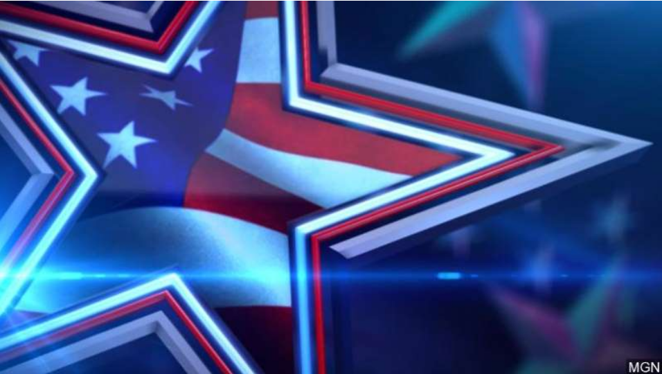 DFL成员介绍COVID-19选举方案