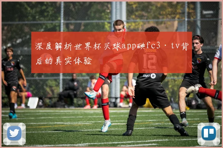 深度解析世界杯买球app碘fc3·tv背后的真实体验