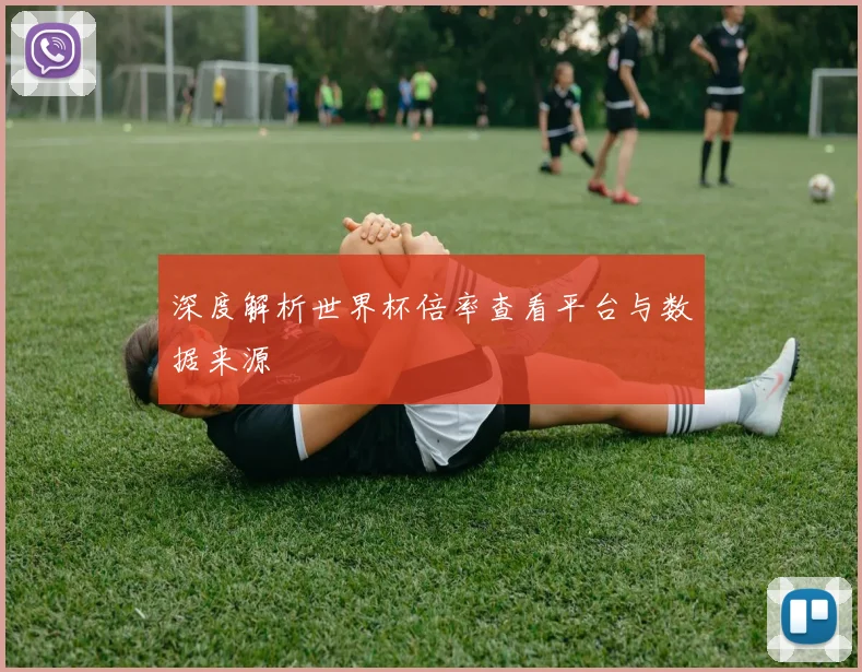 深度解析世界杯倍率查看平台与数据来源