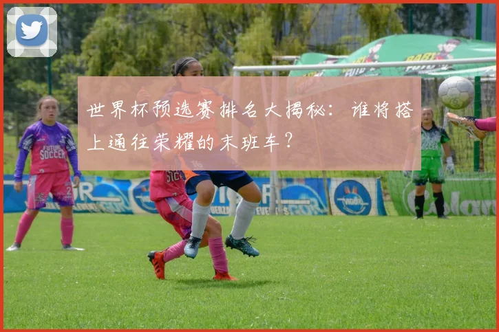世界杯预选赛排名大揭秘:谁将搭上通往荣耀的末班车?