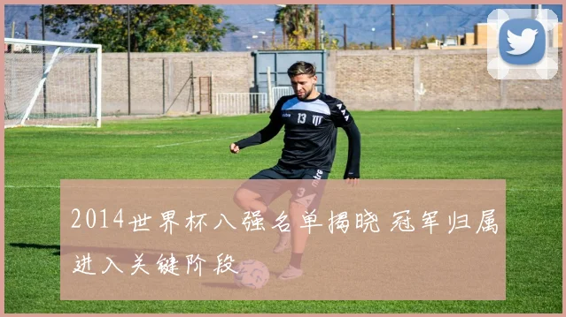 2014世界杯八强名单揭晓 冠军归属进入关键阶段