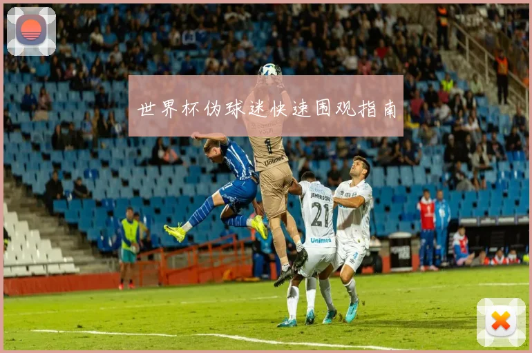 世界杯伪球迷快速围观指南