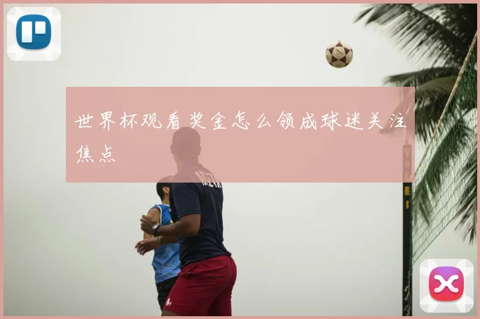 世界杯观看奖金怎么领成球迷关注焦点