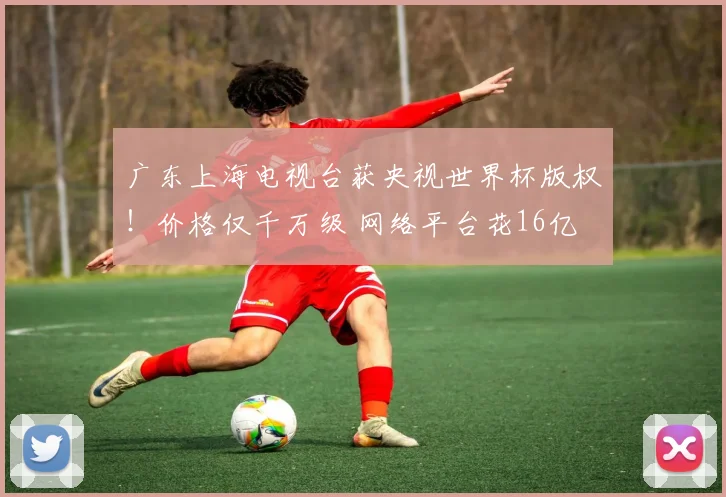 广东上海电视台获央视世界杯版权!价格仅千万级 网络平台花16亿
