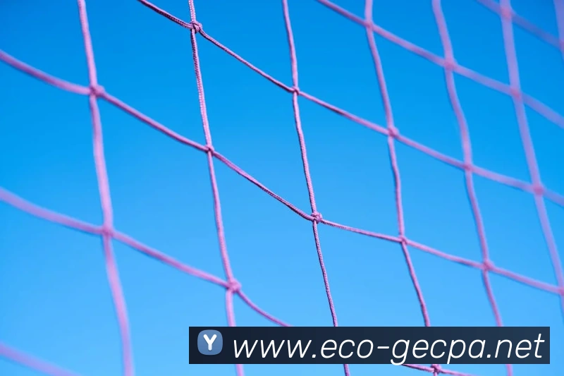 世界杯平台官网登录平台生态图