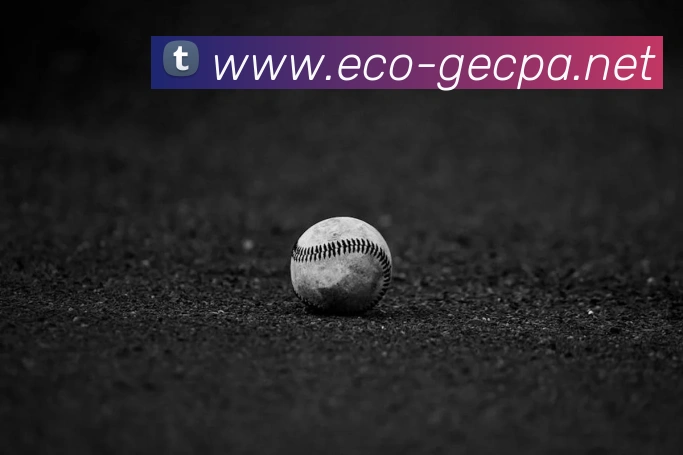 世界杯平台官网登录APP 封面图